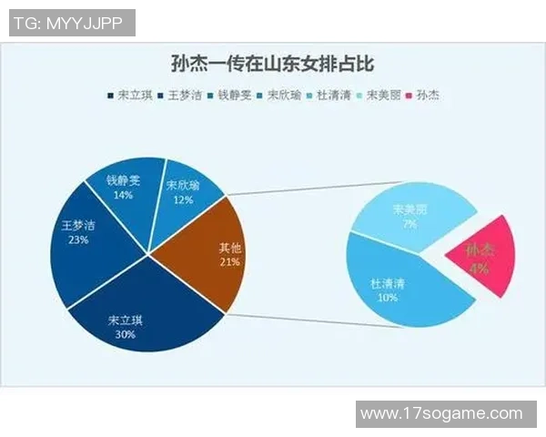 上海排球队灵活性深度对比分析与启示