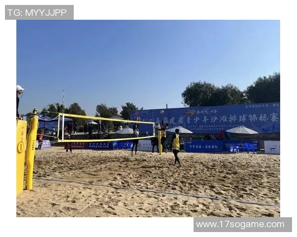 赵伟独家分享排球心得与技巧助你提升竞技水平与团队协作能力 赵伟独家分享排球心得与技巧助你提升竞技水平与团队协作能力